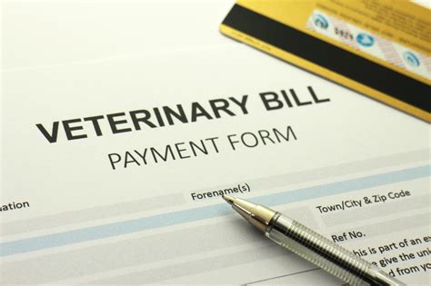 financing for veterinary bill.